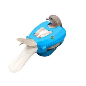 pigeon holder imported