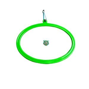Birds swing ovel