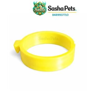 Bottle holding clip small