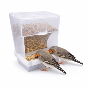 Smart 500g Automatic Bird Feeder – No Waste Seed Feeder with Bottom Tray