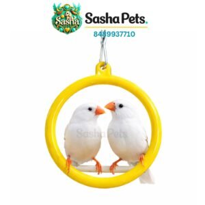 Birds swing round