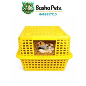 Finches nest box